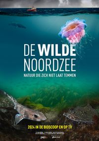 De Wilde Noordzee 2